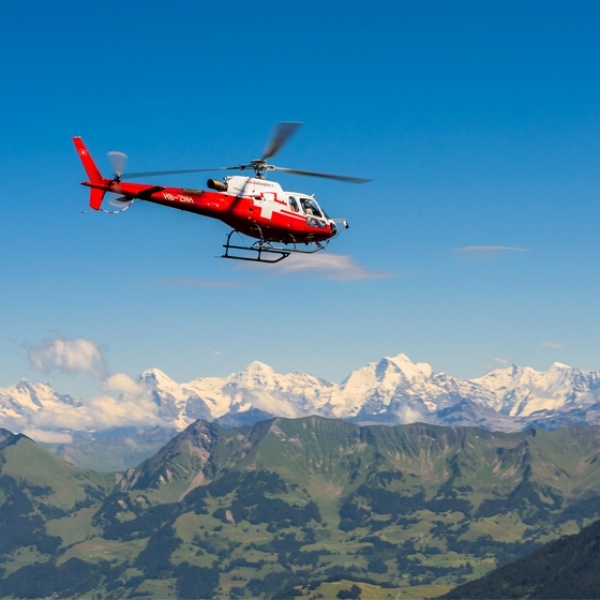 Scenic flight Lenk area and Alps